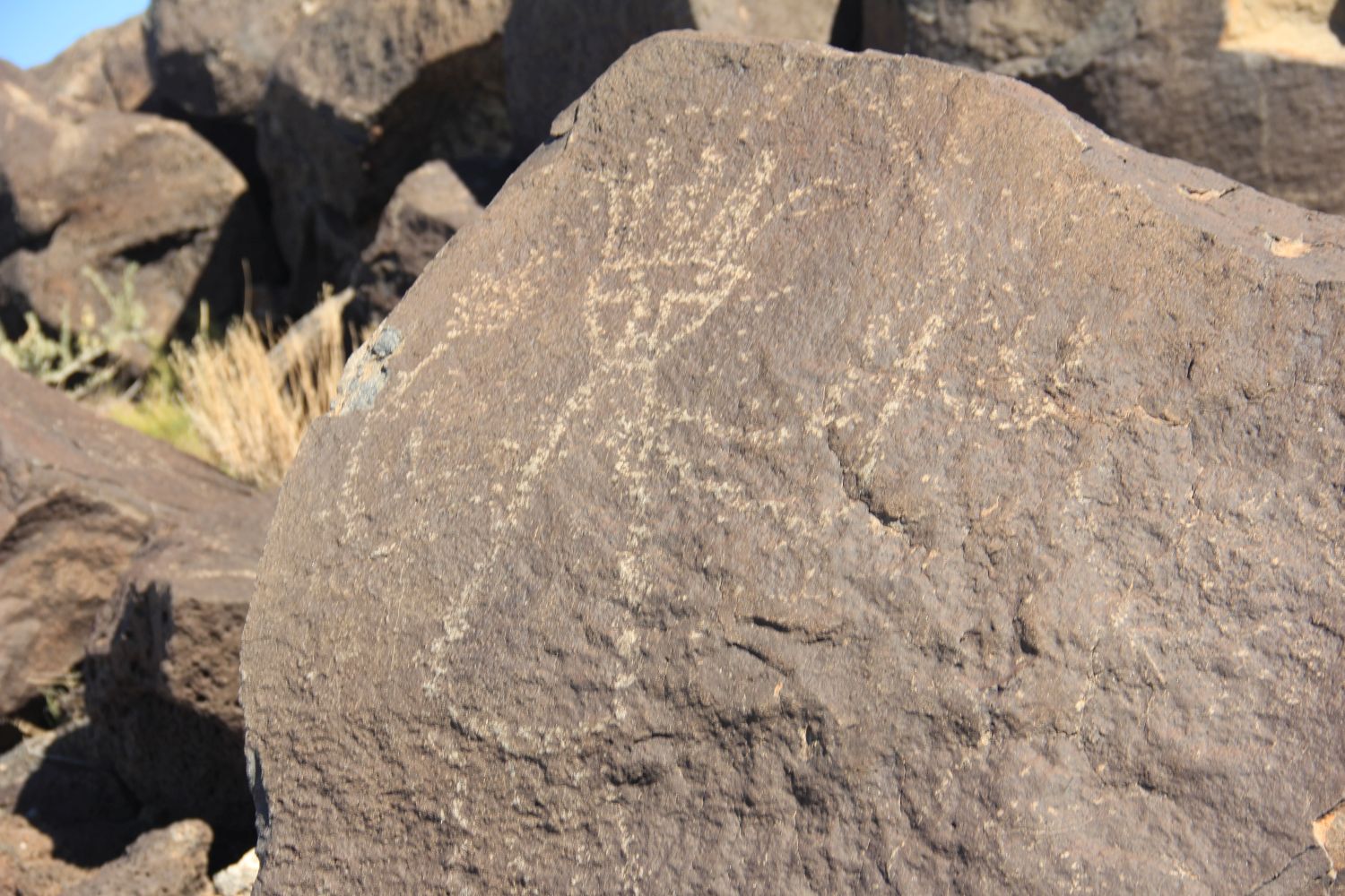 Petroglyph National Monument 